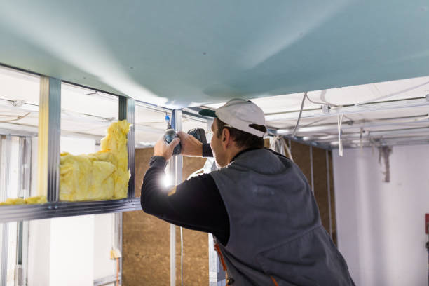 Best Insulation Installation Services in Liberty, IN